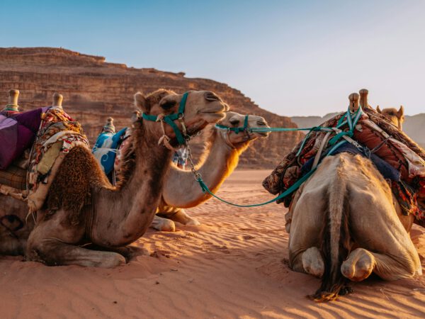 Encantos de Turquía y Jordania