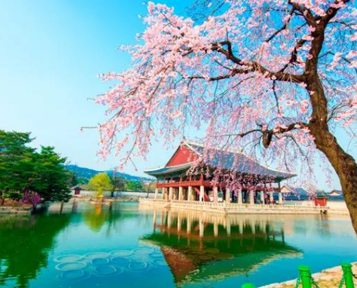 promocion COREA Y JAPÓN 2026 | EVT-30244